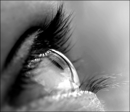 Tu sei speciale - Una storia per tutti